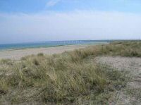 DSCN1359.JPG